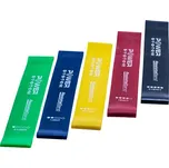 POWER SYSTEM Posilovací gumy - RESISTA BAND SET