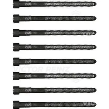 Spojovací materiál motoru Sada šroubů hlavy válce VICTOR REINZ 14-32166-03