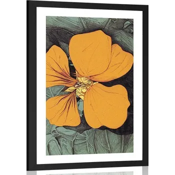 Plakát Dovido Plakát s paspartou pestrobarevná kapucínka