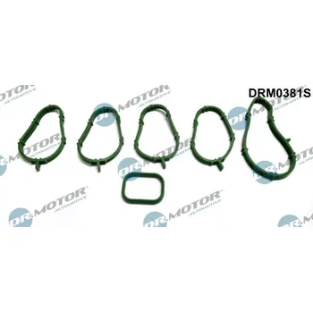 Těsnění motoru Sada těsnění, koleno sacího potrubí Dr.Motor Automotive DRM0381S