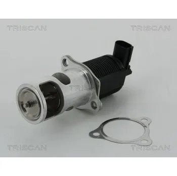 Ventil palivového systému AGR-Ventil TRISCAN 8813 25038