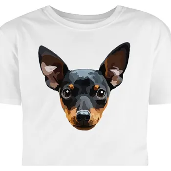 Pánské tričko Hütermann Tričko s potiskem: Pražský krysařík