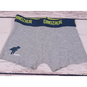 Chlapecké spodní prádlo boxerky YO šedé s dinosaurem velikost oblečení - děti: 122/128