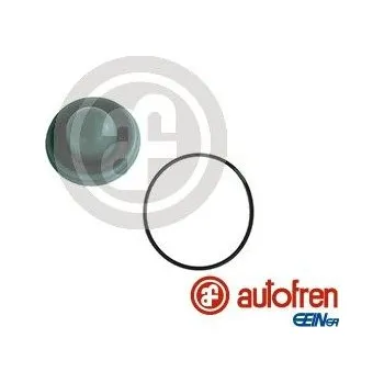 Brzdový systém Sada na opravy, hlavní brzdový válec AUTOFREN SEINSA D1286