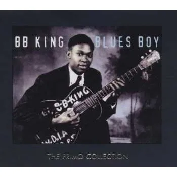 Zahraniční hudba 2CD B.B. King: Blues Boy 2006 The Primo Collection