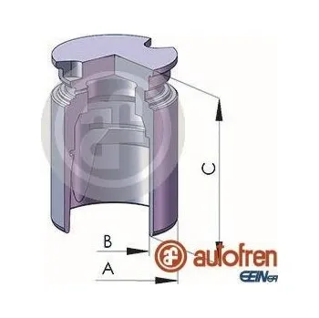 Auto-moto Píst, brzdový třmen AUTOFREN SEINSA D02523