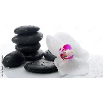 Obklad Skleněný obklad do kuchyně Orchidej a kameny 91714818