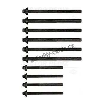 Těsnění motoru Sada šroubů pro hlavy válcu VICTOR REINZ (VR 14-32254-01)