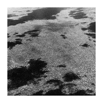 Zahraniční hudba LP Leaving: Leaving 2020