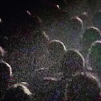 Zahraniční hudba CD Michel Cloup Duo: Nous Vieillirons Ensemble (Live À La Gaîté Lyrique) 2017