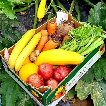 BIO střední odšťavňovací bedýnka, 5-7 kg