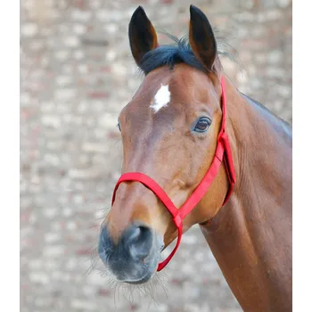 Vybavení pro koně Pastevní ohlávka (bez kovových částí) červená (Cob)