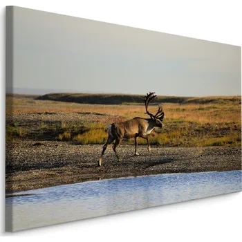 Obraz MyBestHome BOX Plátno Sob u Řeky Varianta: 30x20