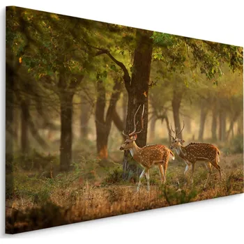 MyBestHome BOX Plátno Skvrnitý Mladý Jelen Varianta: 40x30