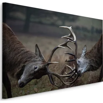 MyBestHome BOX Plátno Souboj Jelenů Varianta: 40x30