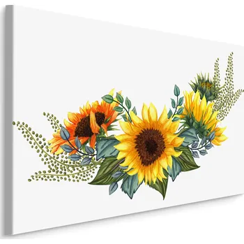 Plátno Slunečnice S Listy Na Bílém Pozadí Varianta: 40x30