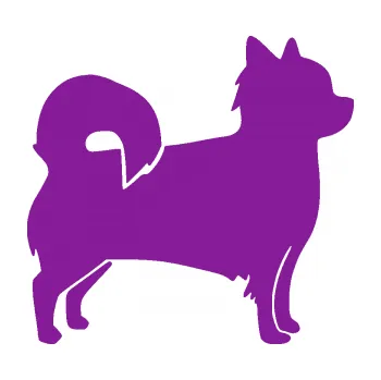 Polep vozidla SAMOLEPKA Pes 173 pravá čivava (14 - fialová) NA AUTO, NÁLEPKA, FÓLIE, POLEP, TUNING, VLASTNÍ TEXT, TISK, AUTOSAMOLEPKY.cz, POLEPY, OBRÁZEK, LOGO, SAMOLEPKY