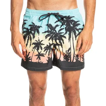 Pánské plavky koupací šortky Quiksilver Everyday Paradise Volley 15 - BGD6/Angel Blue M