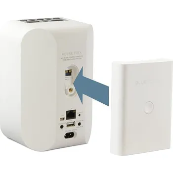 Bluesound BP100 (Flex 2i Battery Pack) Varianta: černá