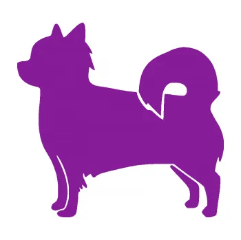 Polep vozidla SAMOLEPKA Pes 173 levá čivava (14 - fialová) NA AUTO, NÁLEPKA, FÓLIE, POLEP, TUNING, VLASTNÍ TEXT, TISK, AUTOSAMOLEPKY.cz, POLEPY, OBRÁZEK, LOGO, SAMOLEPKY