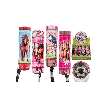 Svítilna Kapesní svítilna 6 LED motiv koně 57/9666