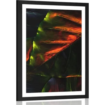 Plakát Dovido Plakát s paspartou tropické palmové listy