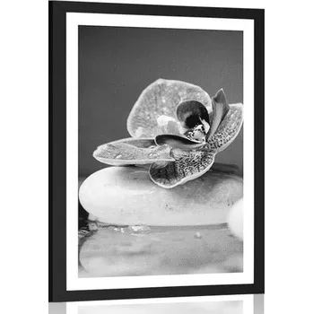 Plakát Dovido Plakát s paspartou orchidej a Zen kameny v černobílém provedení
