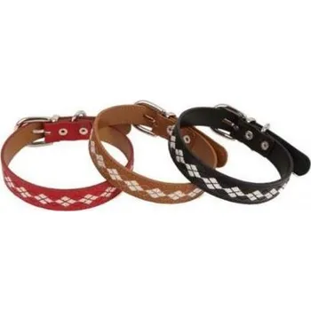 Obojek pro psa Puppia Trinity obojek M varianta červený