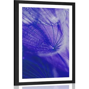 Plakát Dovido Plakát s paspartou krásná pampeliška v fialovém provedení