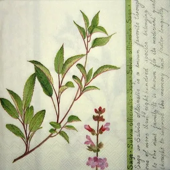 Papírový ubrousek Ubrousek Sage cream