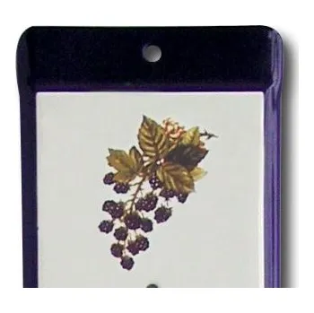 Domácí teploměr Venkovní teploměr smaltovaný, Modrobílý 500 x 95 mm, Motiv Ostružiny