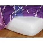 Dadka Nepropustné prostěradlo Dermofresh 90x200x18
