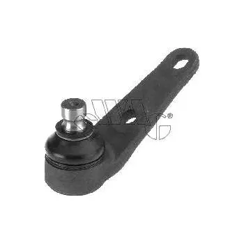 Čep nápravy Čep - kloub ramene nápravy FORD ESCORT III - 1.1 (FORD 5021427 FORD 5O21427 FORD 6082493 FORD 6115337 FORD 6115338 FORD 6O82493 FORD 81AB3395B1B FORD 81AB3395BB FORD 880X3K209DA FORD 88OX3K2O9DA SWAG 50780007)
