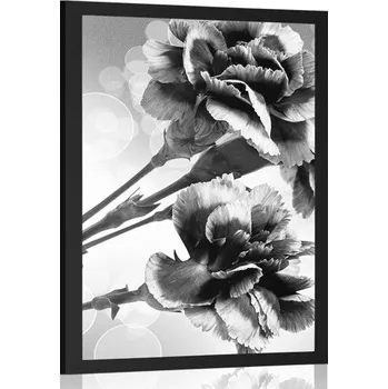Plakát Dovido Plakát květ karafiátu v černobílém provedení