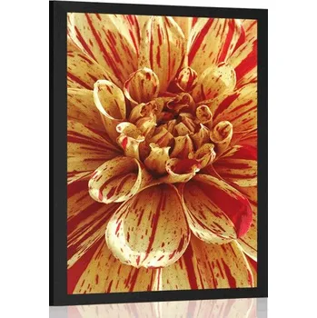 Plakát Dovido Plakát exotická dália