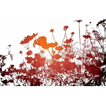 Fototapeta DIMEX | Vliesová fototapeta Květinová textura MS-5-1326 | 375 x 250 cm| červená, bílá, černá + Vliesová fototapeta na stěnu DIMEX Květinová textura MS51326 v rozměru 375 x 250 cm + lepidlo zdarma