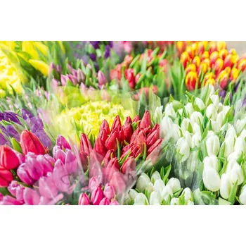 Fototapeta DIMEX | Vliesová fototapeta Květinový trh MS-5-1347 | 375 x 250 cm| zelená, červená, bílá, žlutá + Vliesová fototapeta na stěnu DIMEX Květinový trh MS51347 v rozměru 375 x 250 cm + lepidlo zdarma