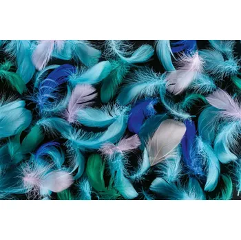 Fototapeta DIMEX | Vliesová fototapeta Modrozelené peří MS-5-2547 | 375 x 250 cm | zelená, modrá, vining-ivy + Vliesová fototapeta na stěnu DIMEX Modrozelené peří MS52547 v rozměru 375 x 250 cm + lepidlo zdarma