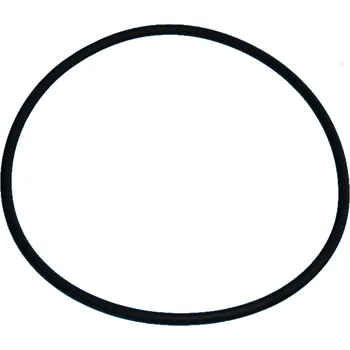 Těsnění tor.170x5,75 CORONA