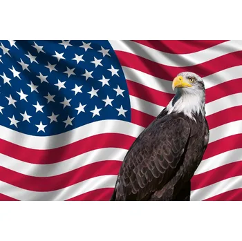 DIMEX | Vliesová fototapeta Vlastenecká vlajka USA MS-5-2960 | 375 x 250 cm | modrá, červená, bílá, hnědá + Vliesová fototapeta na stěnu DIMEX Vlastenecká vlajka USA MS52960 v rozměru 375 x 250 cm + lepidlo zdarma