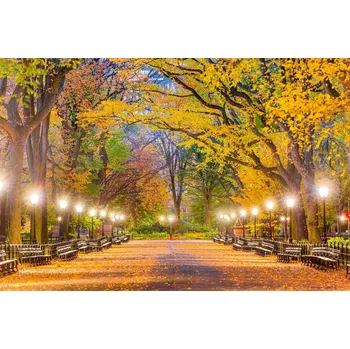 Fototapeta DIMEX | Vliesová fototapeta Central Park na podzim MS-5-3019 | 375 x 250 cm | zelená, modrá, žlutá, hnědá + Vliesová fototapeta na stěnu DIMEX Central Park na podzim MS53019 v rozměru 375 x 250 cm + lepidlo zdarma