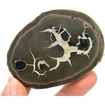 Sběratelství Zkamenělina septarie polovina (Maroko) 117g