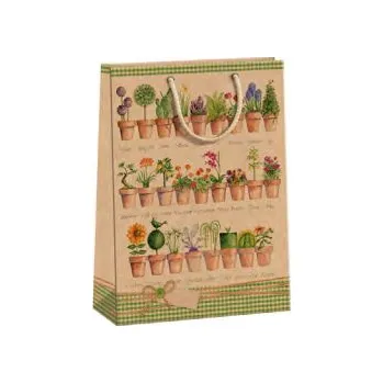 Dárková taška ARGUS Papírová dárková taška "NATUR" (přírodní) T8, Pokojové Květiny