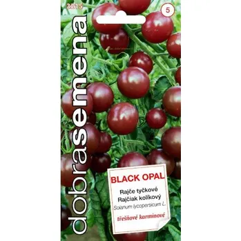 Semeno DOBRÁ SEMENA RAJČE ´BLACK OPAL´