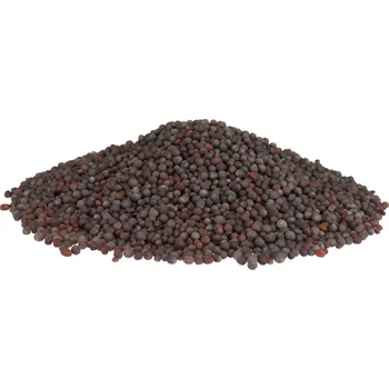 Profikoření - Hořčice černá celá (25 Kg) (Hořčičné semínko černé celé)