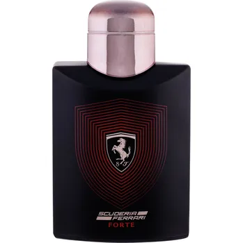 Pánský parfém Ferrari Ferrari Scuderia Ferrari Forte, Parfumovaná voda 125ml - Tester Pre mužov Parfumovaná voda