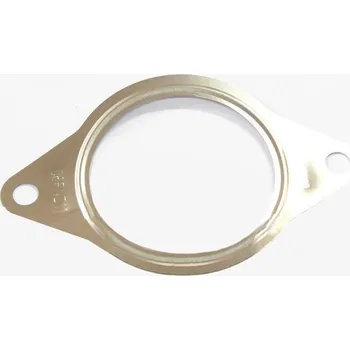 Váha vzduchu Těsnění EGR Ventilu pro 2.2 TDCi