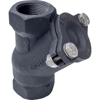 Příslušenství k čerpadlu Zpětná klapka kalová - závitová, 2".