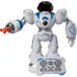Robot Alltoys RC Robin