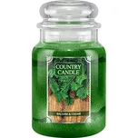 Country Candle Svíčka ve skleněné dóze 680 g